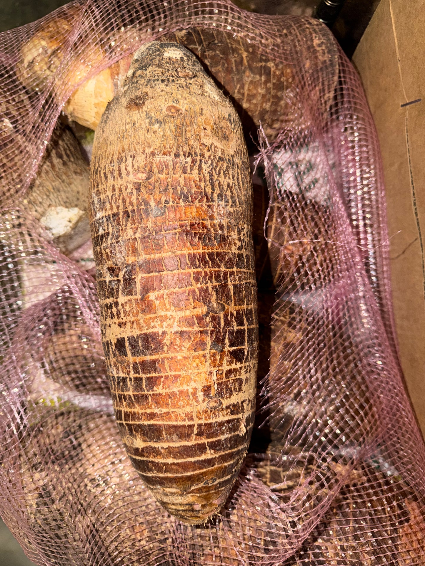 MALANGA COCO “LILA” 3 LB