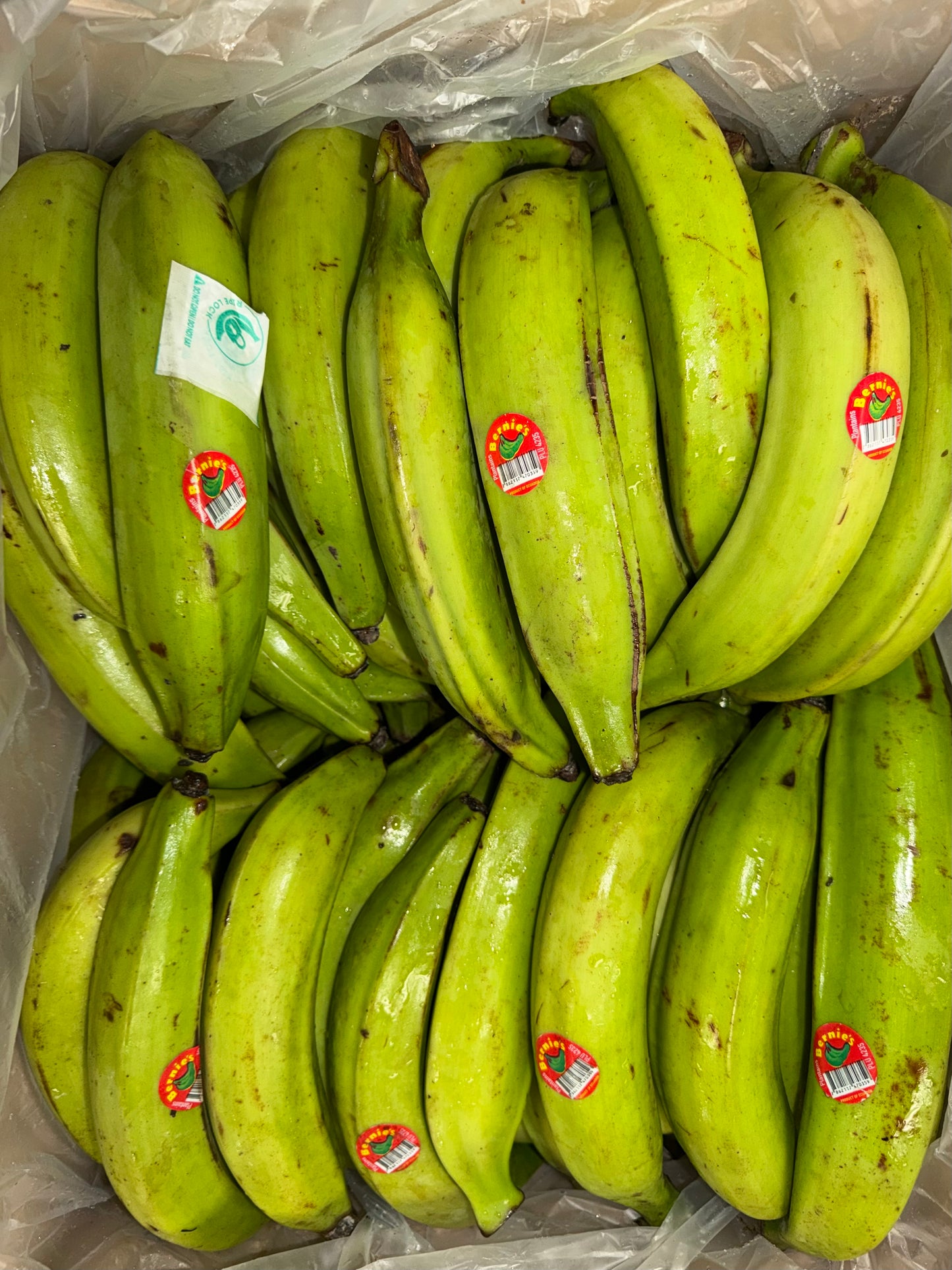 GREEN PLANTAINS 3 LBS