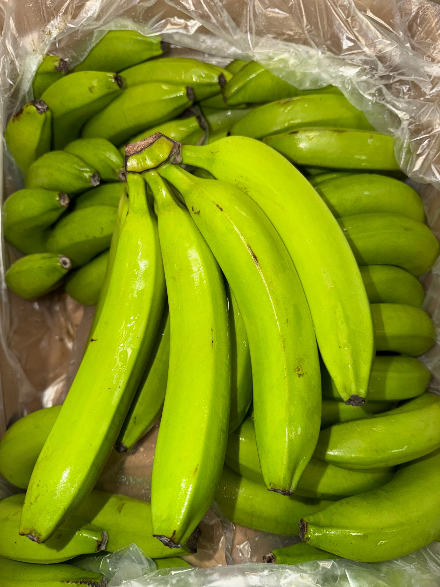 GREEN BANANA 3 LB
