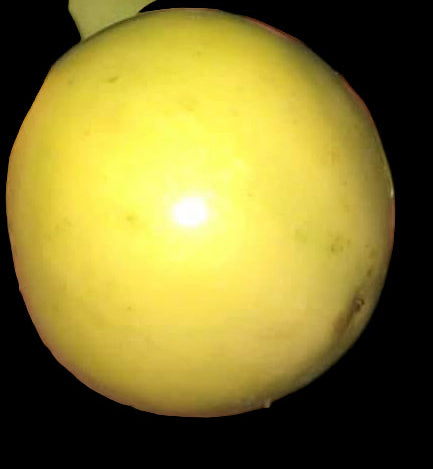 Parcha Passion Fruit