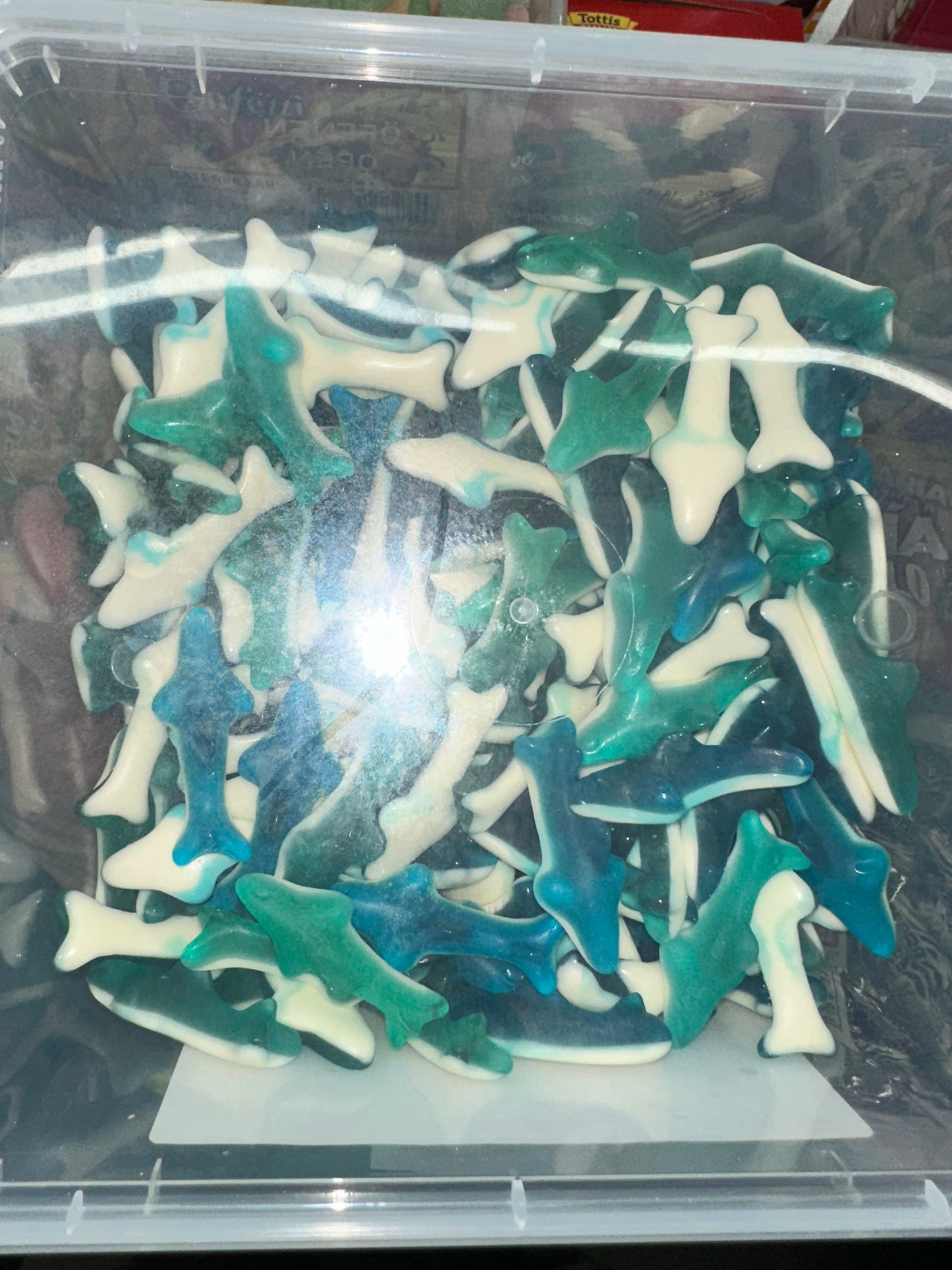 SHARK FAMILY SIZE (TIBURONES)