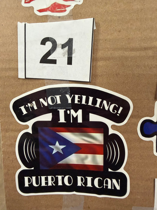 PR LARGE STICKER 21