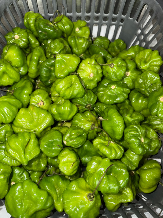 AJI DULCE PARA SOFRITO 1 LB