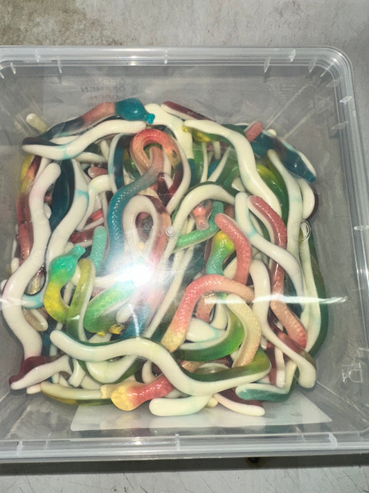 CULEBRA SNAKES FAMILY SIZE