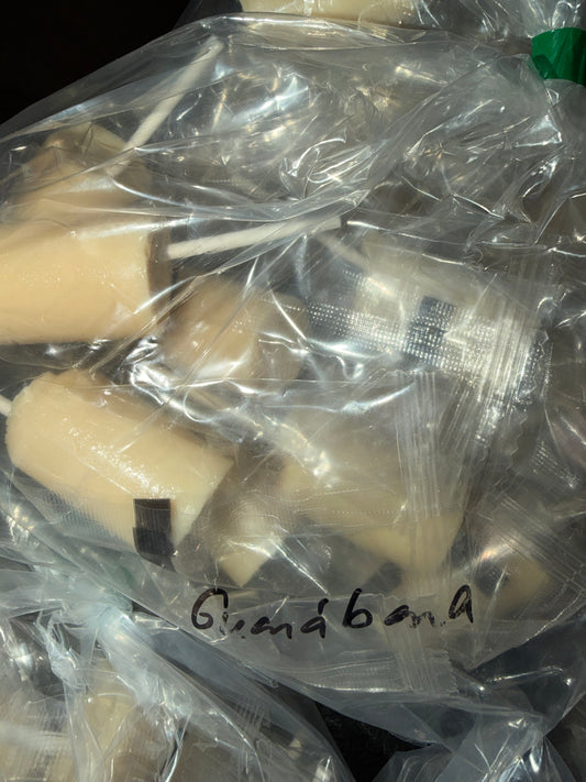 PILONES DE GUANABANA HECHO MANO 10CT