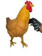 GALLINA LARGE STATUE