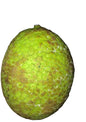 PANA Entero c/u