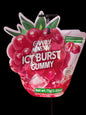 Candy Master Icy Burst Gummy Raspberry (2.65 oz / 75 g)