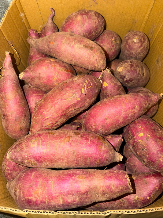 BATATA “BONIATO” 3 LB