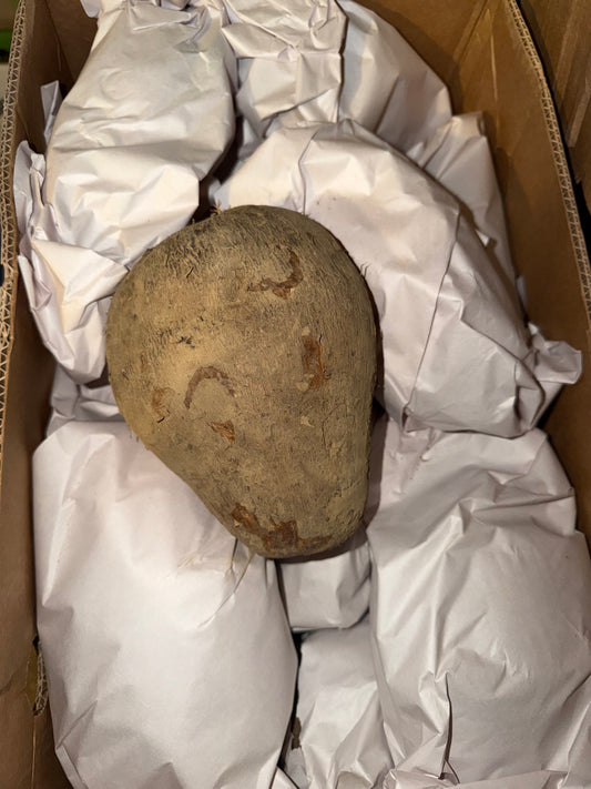 NAME COSTA RICAN 3 LB