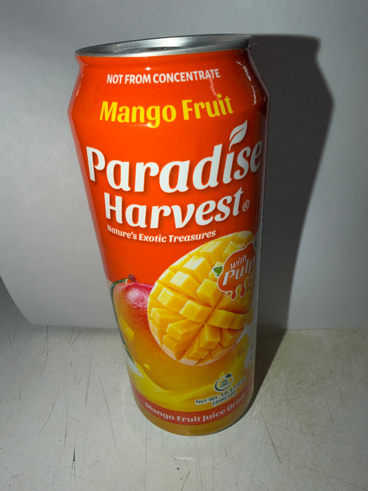 MANGO CON PULPA PARADISE