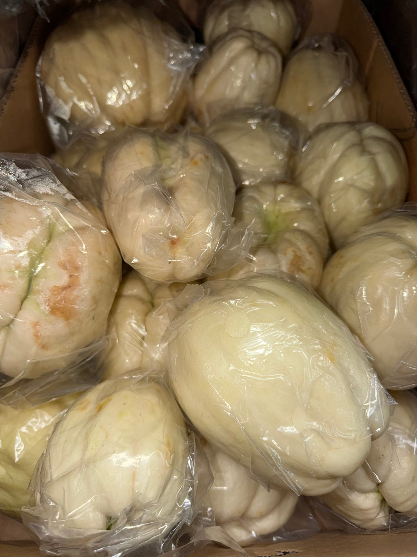 CHAYOTE BLANCO 3 LB