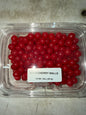 SOUR CHERRY CLAM 20 OZ