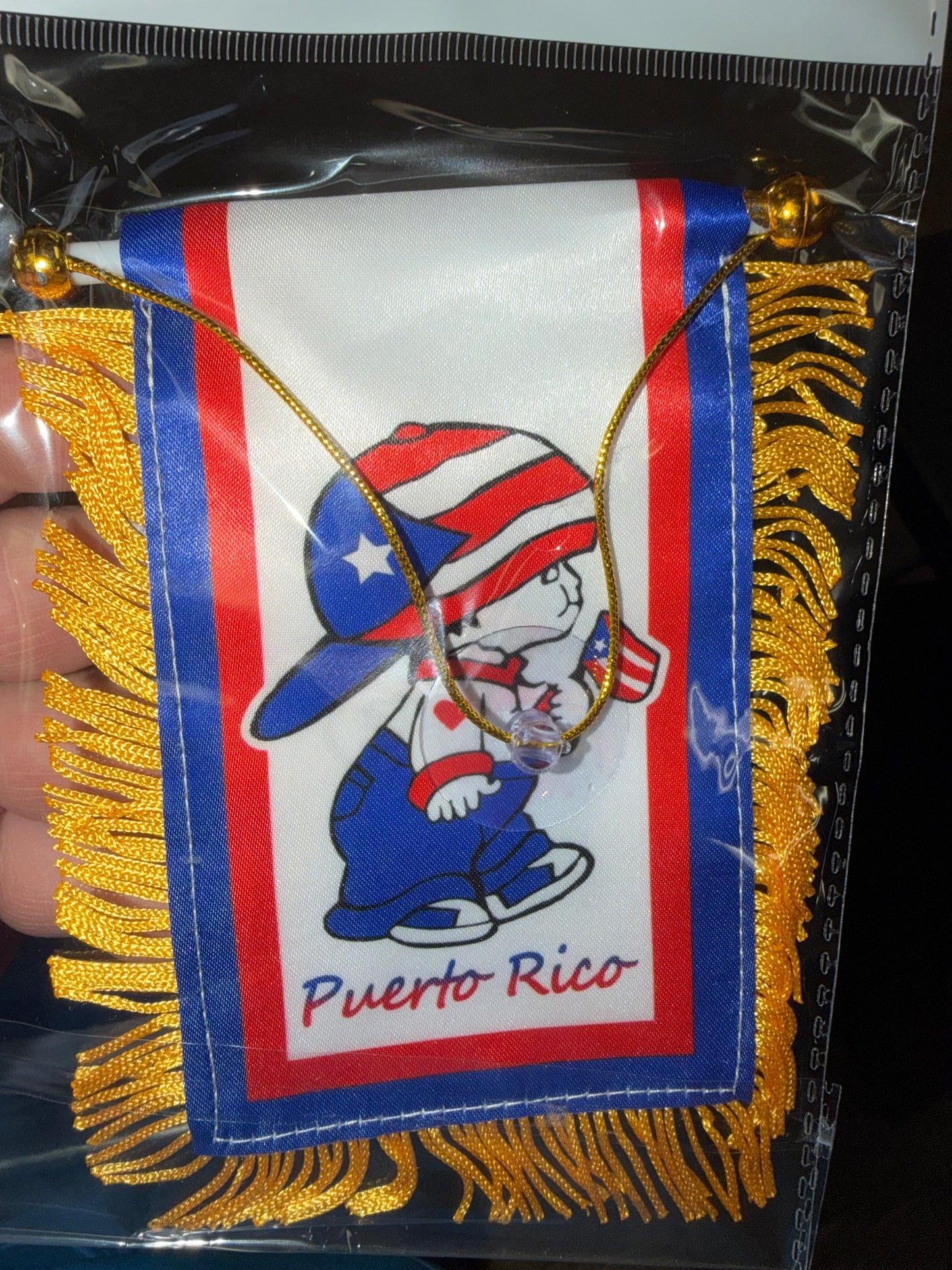PR MINI BANNER LITTLE BOY