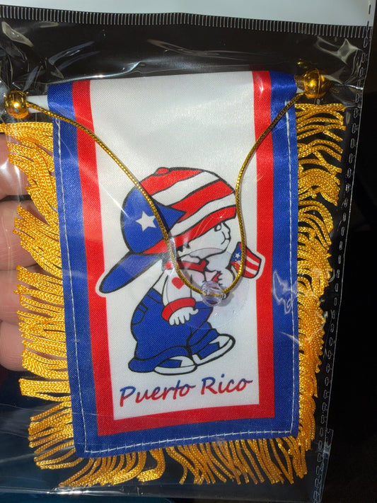 PR MINI BANNER LITTLE BOY