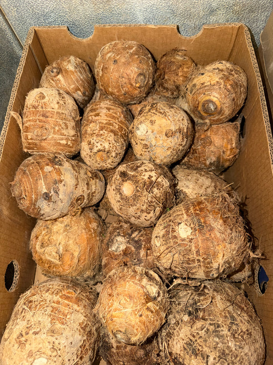 MALANGA BLANCA “BOLA” 3 LB